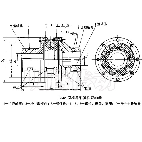 LMS型梅花形联轴器图纸